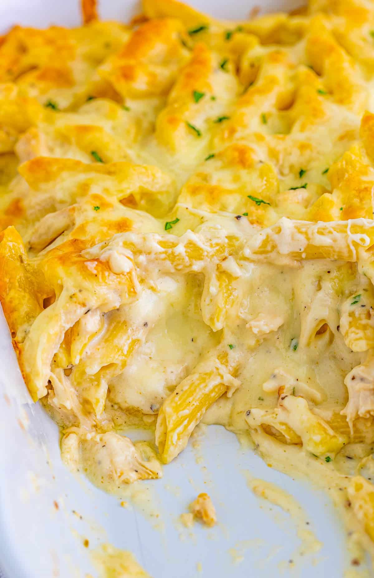 Chicken Alfredo Casserole in pan with some removed.