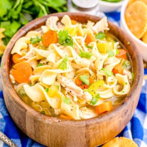 Instant Pot Chicken Noodle Soup - Tornadough Alli