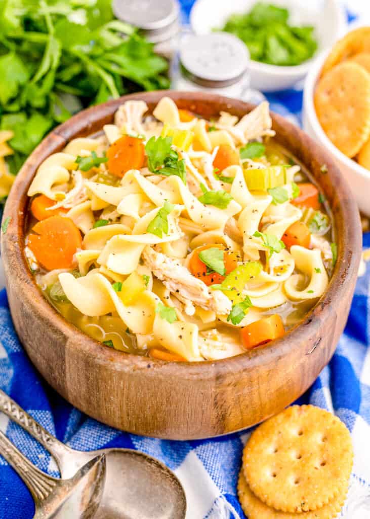 Instant Pot Chicken Noodle Soup Tornadough Alli