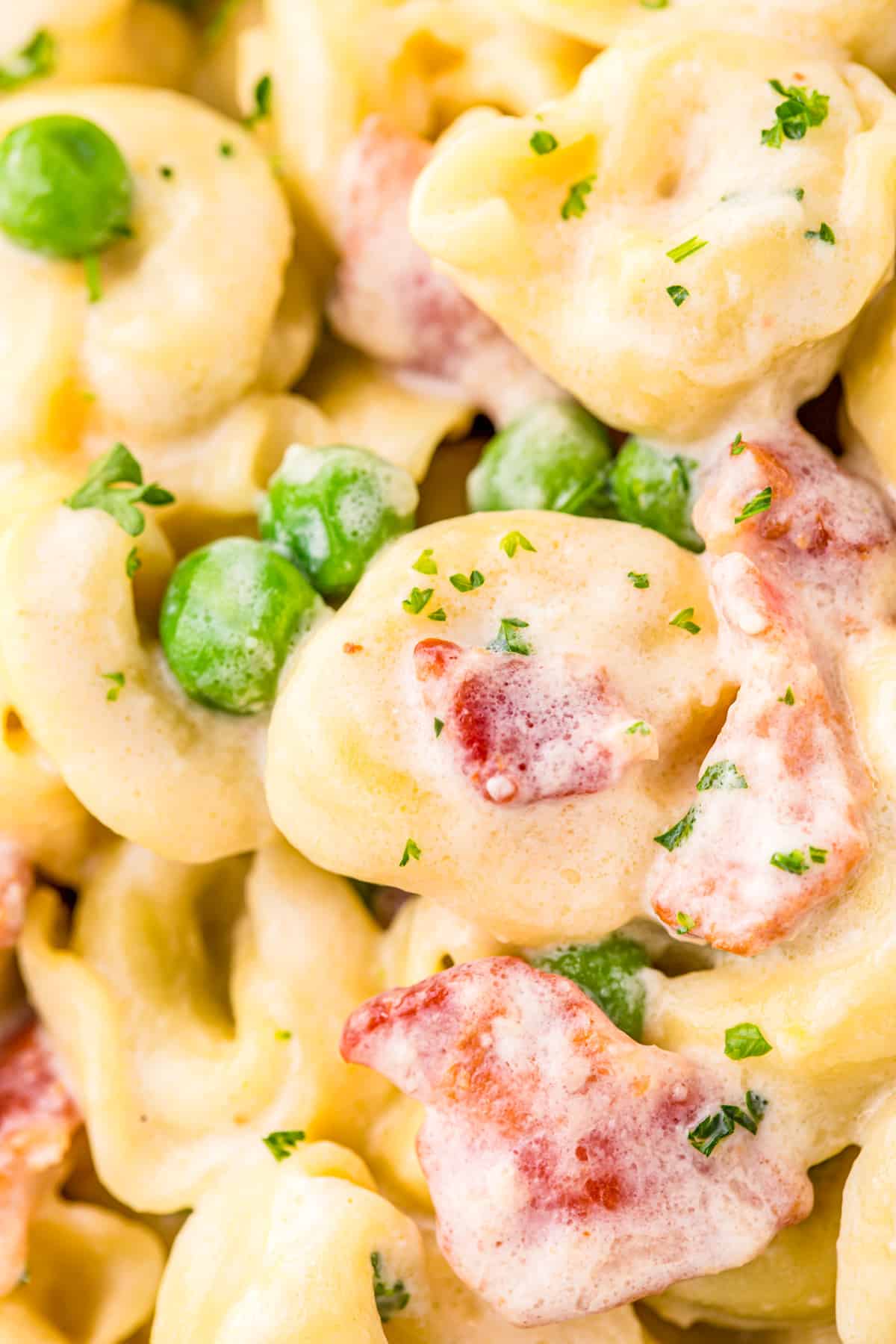 Close up of Carbonara showing the sauce over the tortellini bacon and peas.