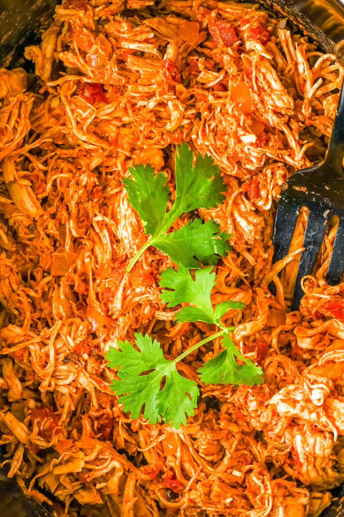 Close up overhead of Slow Cooker Shredded Mexican Chicken topped with cilantro.