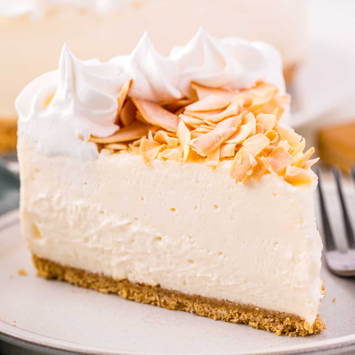 No Bake Coconut Cheesecake - Tornadough Alli