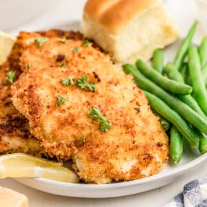 Close up square image of chicken on plate with sides.