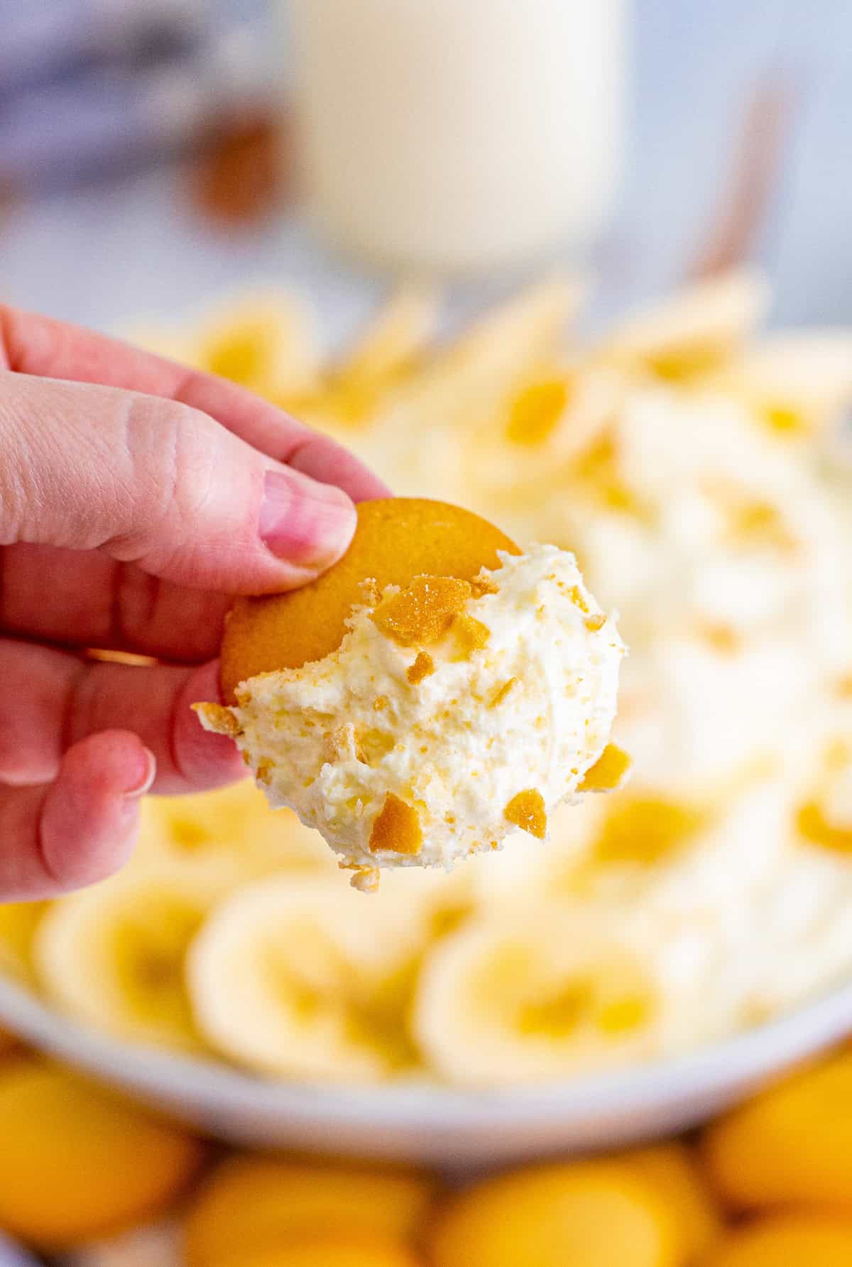 Hand holding up a vanilla wafer with some of the dip on it.