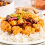 Close up square image of chicken on rice with chiles and green onions.
