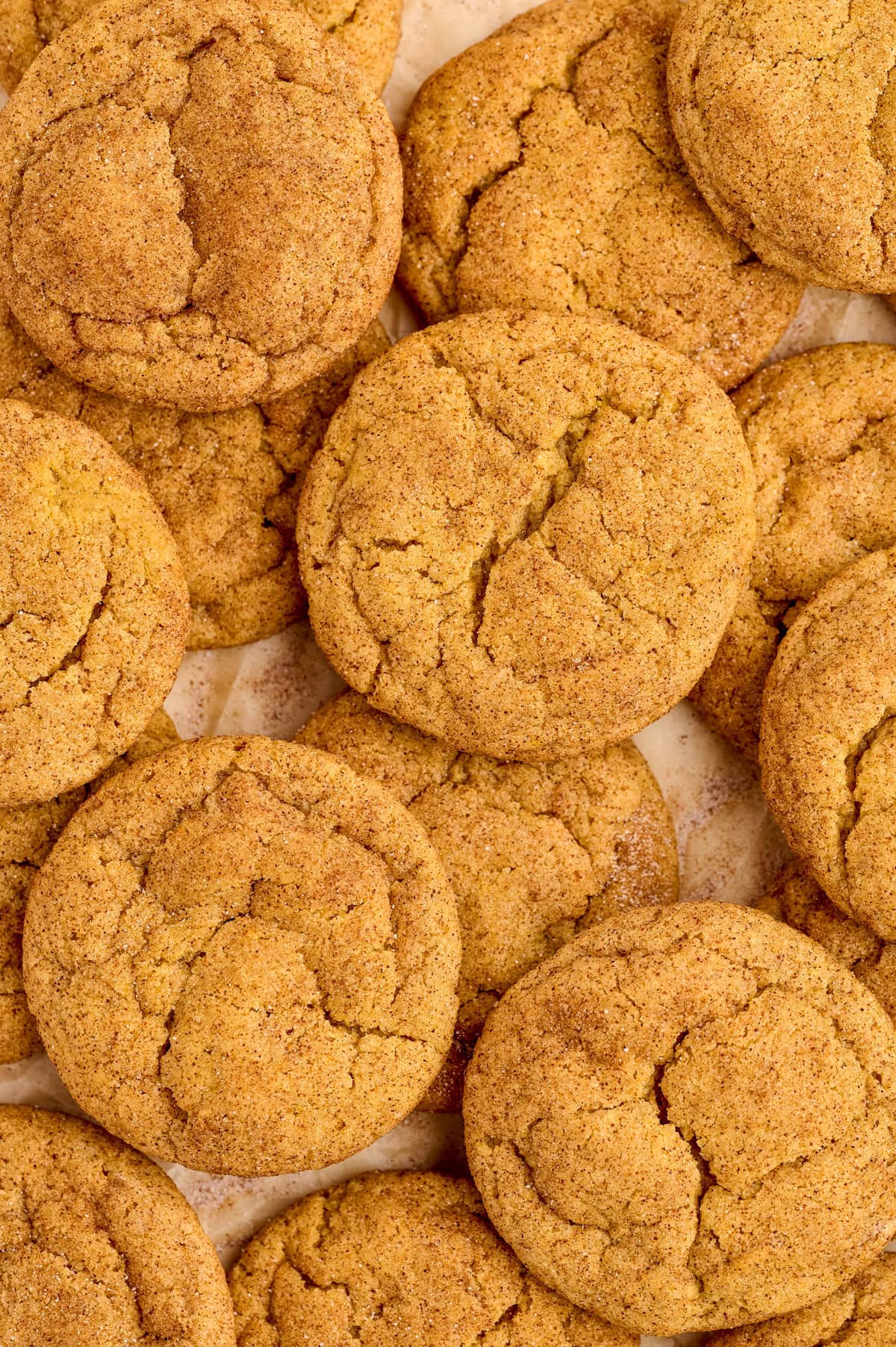 Layered Pumpkin Snickerdoodles on baking sheet.