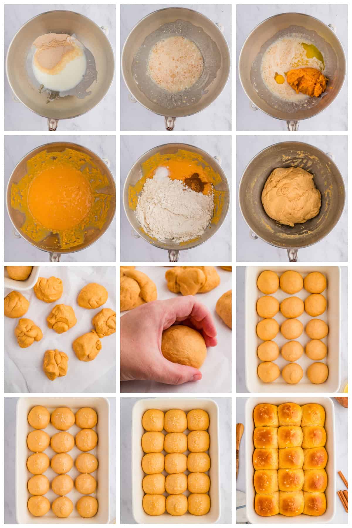 Step by step photos on how to make Sweet Potato Dinner Rolls.