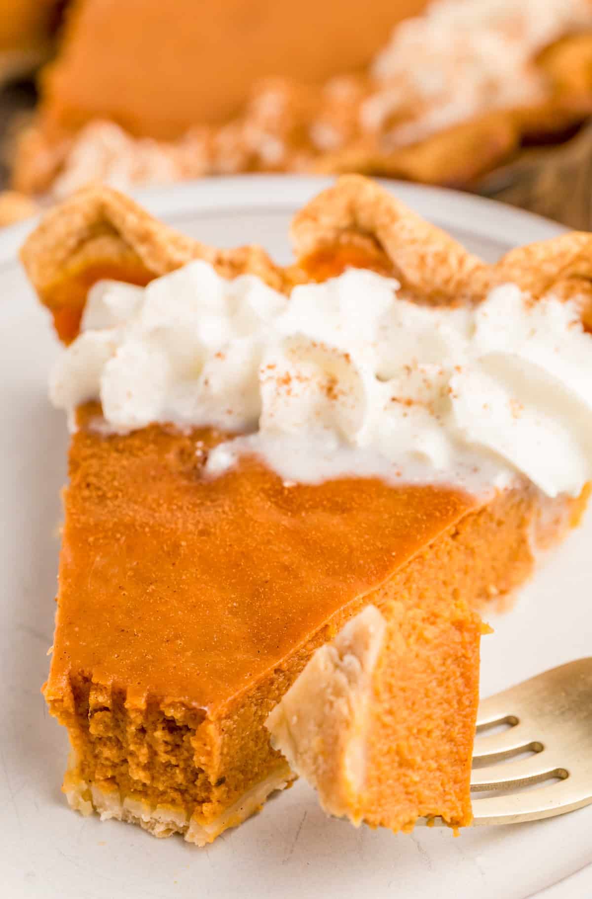 Slice of pie on white plate with a bite taken out of it with bite on fork next to slice.