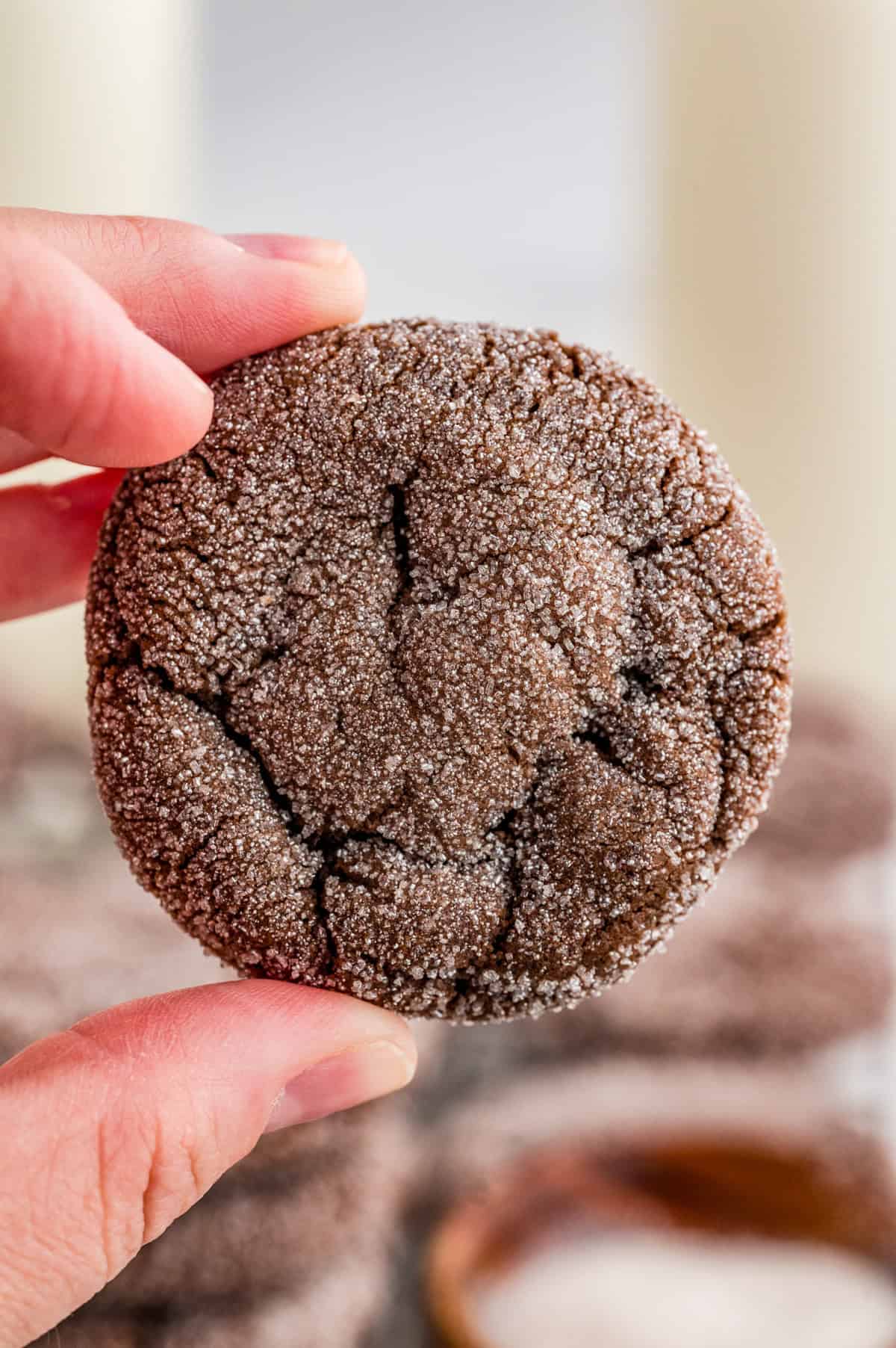 Hand holding up one of the cookies showing the sugar.