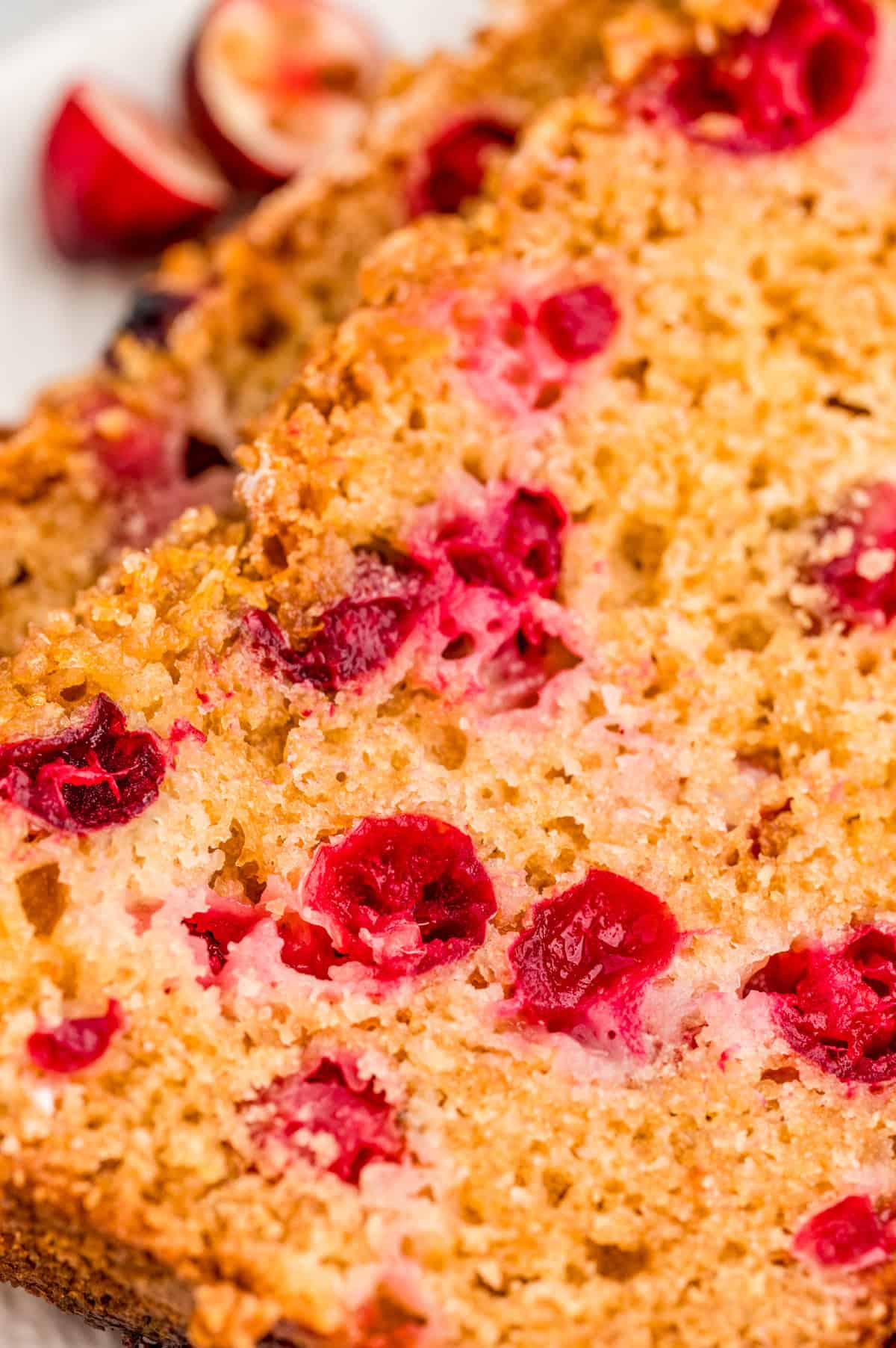 Close up of bread showing the cranberries baked inside.