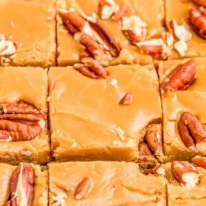 Close up square image of fudge cut into squares with chopped nuts on top.