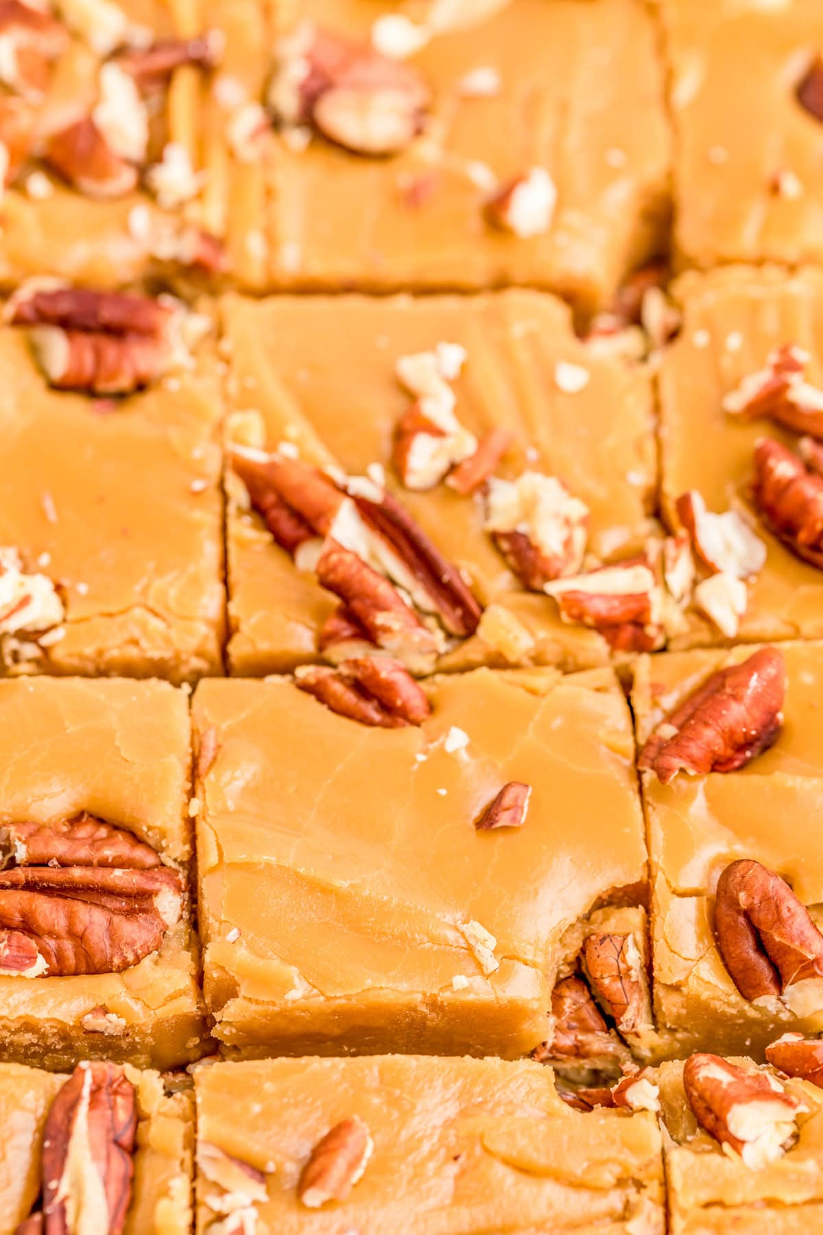 Maple Fudge Recipe cut into squares close up topped with chopped nuts.