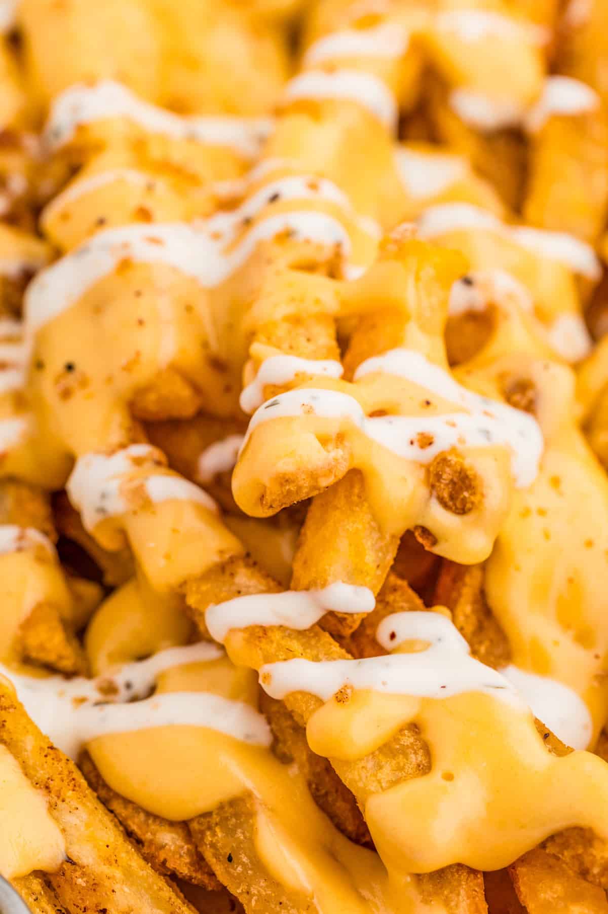 Close up of Louisiana Voodoo Fries topped with cheese sauce, ranch and seasoning.