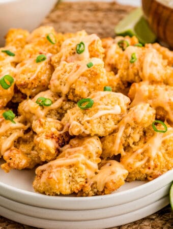 Square image of chicken on stacked white plates topped with green onions.