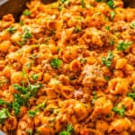 Close up image of pasta in skillet topped with parsley.