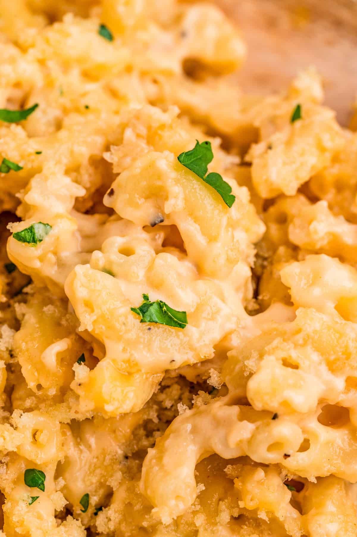 Closeup of mac and cheese garnished with parsley.