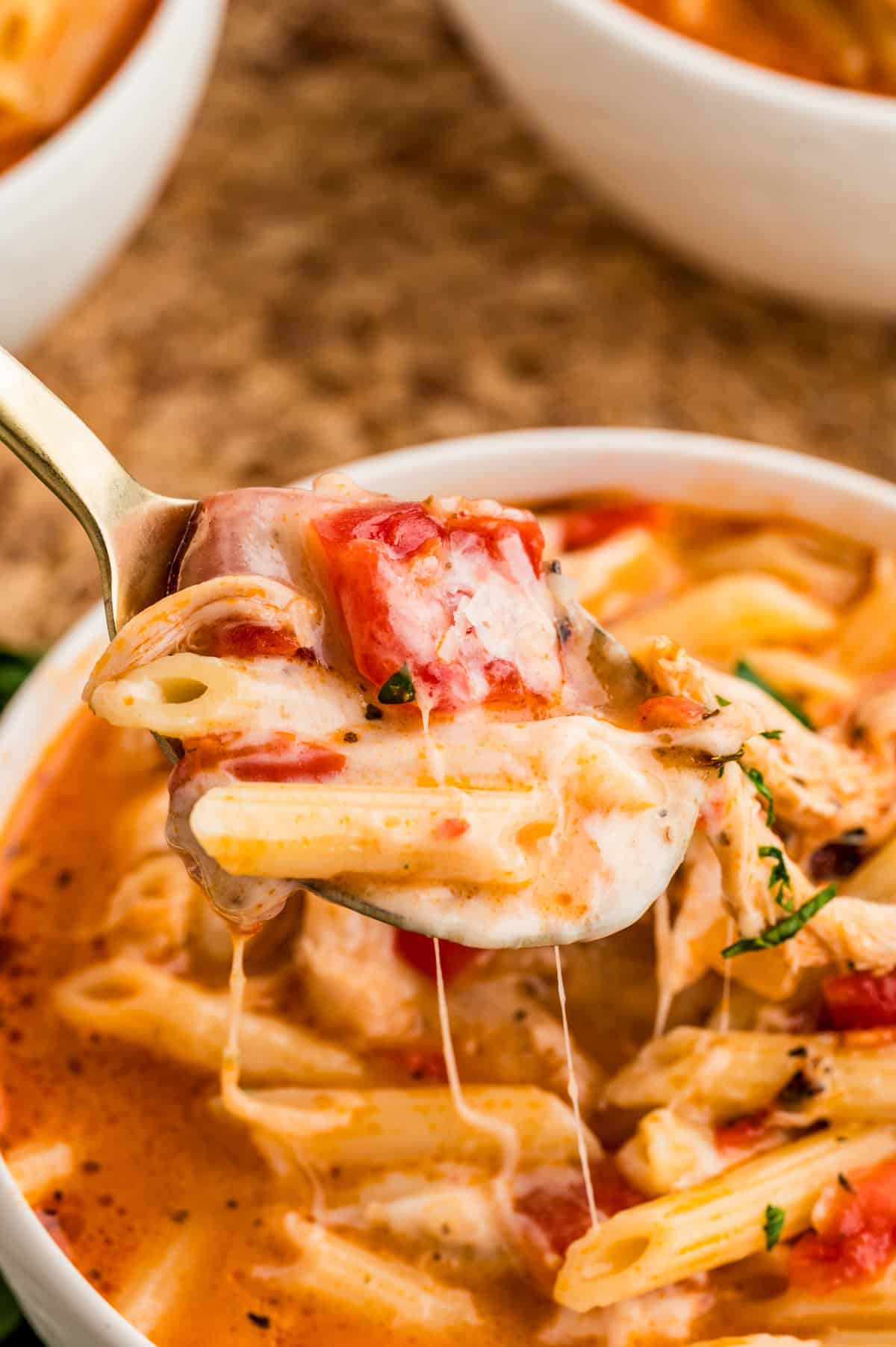 Spoon holding up some of the soup from serving bowl.