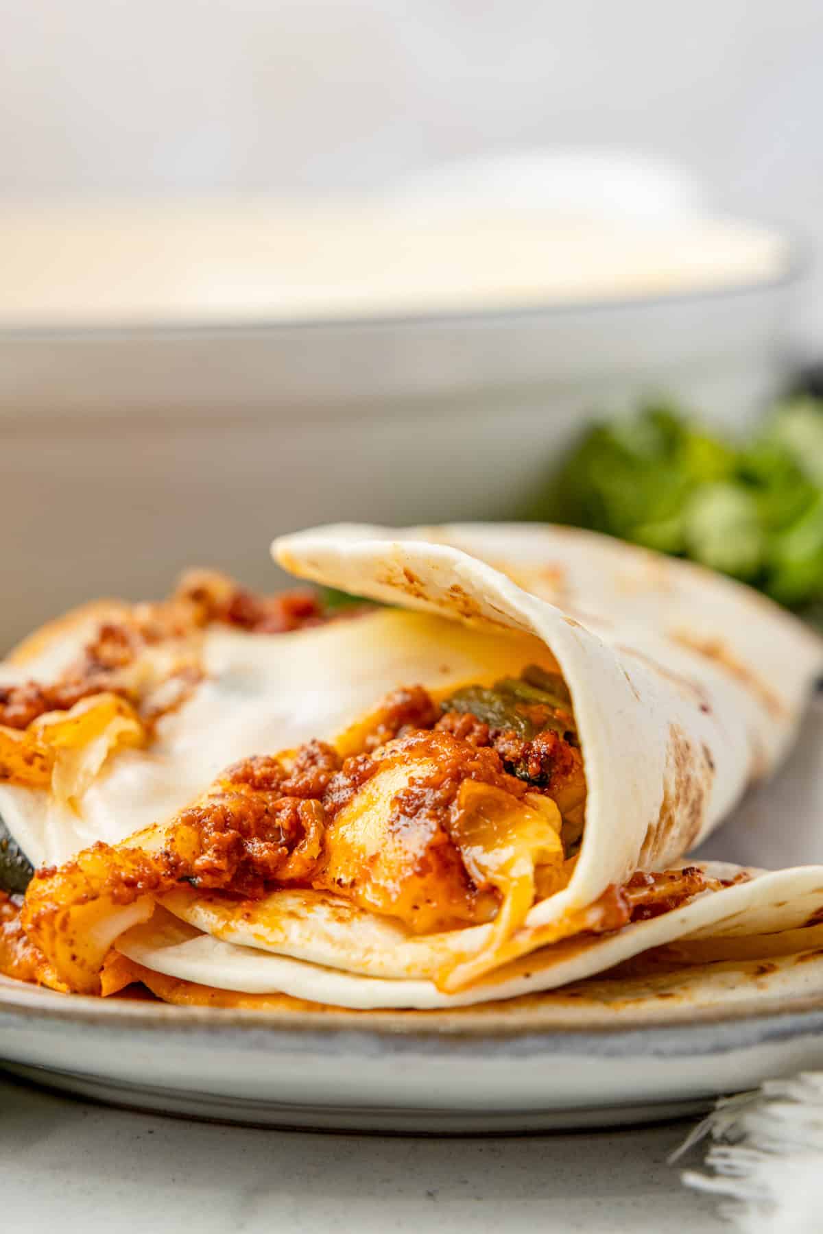 Queso in tortillas on plate.